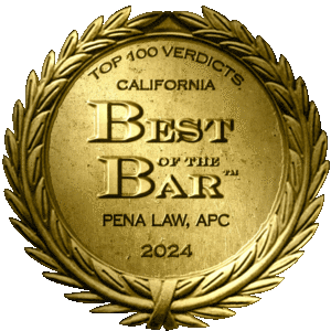 24award Medallion V CA Firm